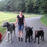 Tierbetreuung Melanie Werner in Mehren im Westerwald