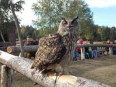 Nutzerbilder Wildpark Johannismühle