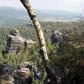 Restauration "Papststein" in Gohrisch