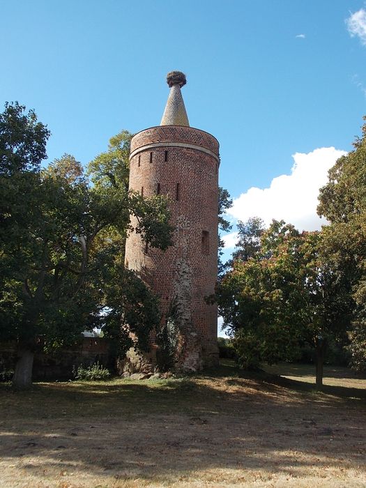 Burg Ziesar - Museum für brandenburgische Kirchen- und Kulturgeschichte des Mittelalters