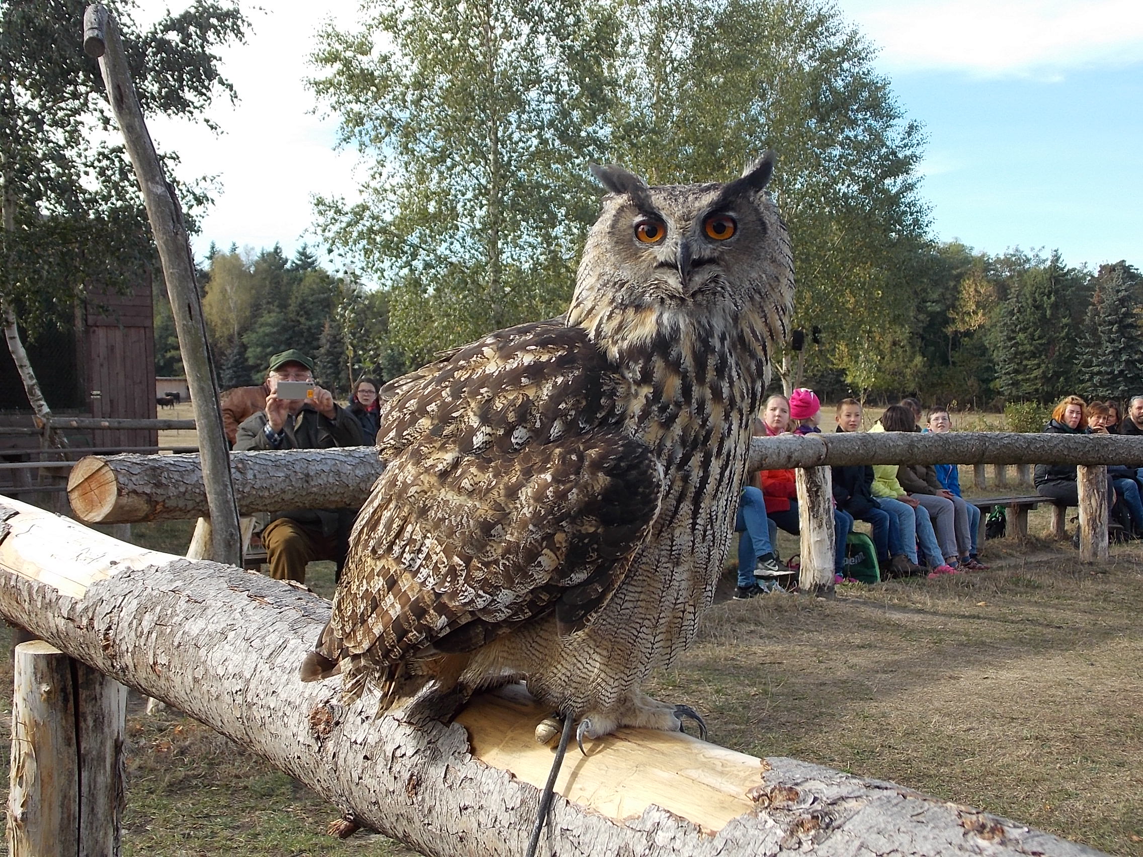 Bild 4 Wildpark Johannismühle in Baruth/Mark