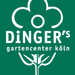 Bild 19 Dinger's Garten Center Köln GmbH & Co. KG in Köln