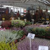 Wochenmarkt auf dem Markt - Leipzig Zentrum in Leipzig