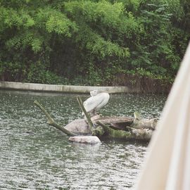 Bärenburg- und Teichcafé im Zoo in Leipzig