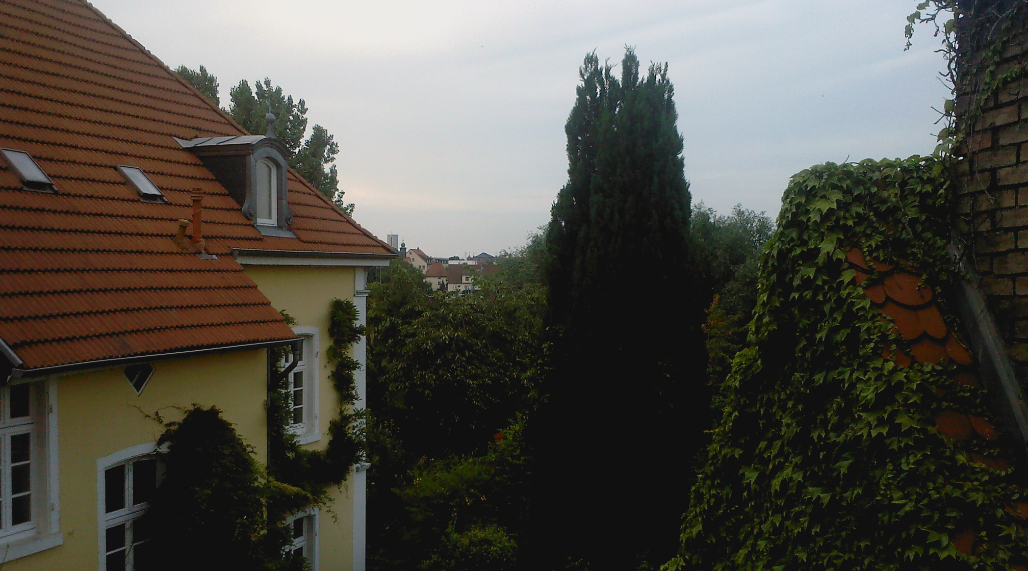 Hotel Weingrtner: Blick aus dem Zimmerfenster zum Nachbarhaus
