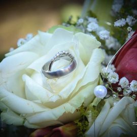 Bilder-der-Hochzeit Hochzeitsfotograf in Erlangen