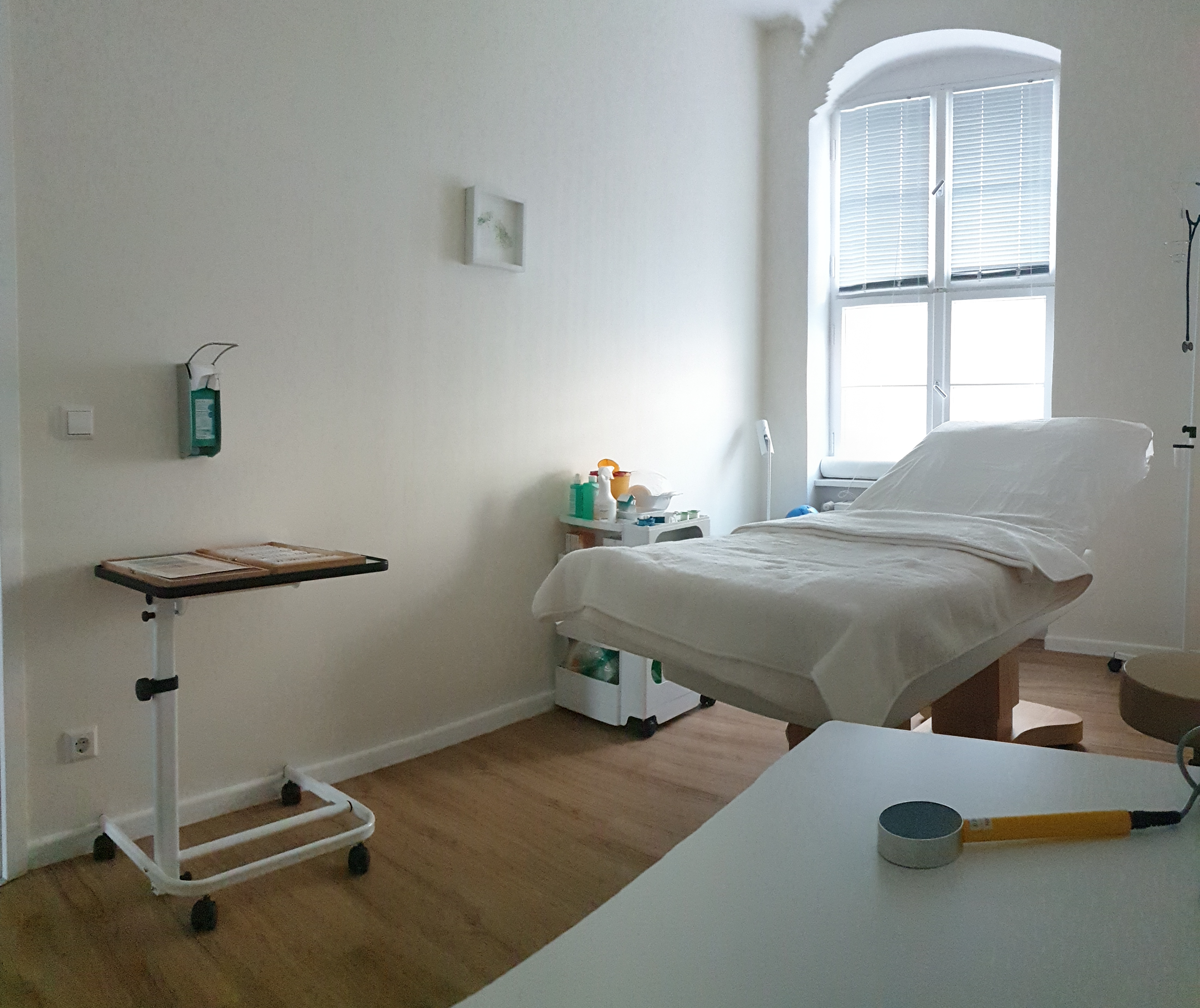 Behandlungsraum Naturheilpraxis Charlottenstraße Potsdam
Behandlung Kopfschmerzen und Migräne in Potsdam / Wannsee / Zehlendorf mit Akupunktur, Bioresonanztherapie bei Burnout, ADHS, Asthma bronchiale, spastische Bronchitis, Allergien wie Pollenallergie - Heuschnupfen, Hundeallergie, Katzenallergie, Tierhaarallergie, Lebensmittelallergie, Milbenalergie, Stauballergie.
Blutegelbehandlung bei Arthrose und Tennisarm.