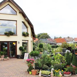 Blumenhaus Linka in Zerbst