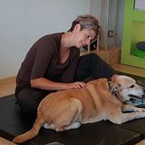 Tierphysiotherapie Hund & Pferd, Tierheilpraxis Maria Stein in Hauneck