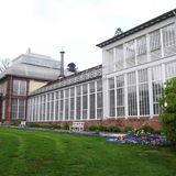 Großes Gewächshaus Wilhelmshöhe in Kassel