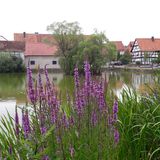 Der Teichhof Gaststätte und Hausmacherwurstwaren GmbH in Ringgau