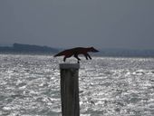 Nutzerbilder Gemeinde Ostseebad Insel Poel