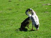 Nutzerbilder Tierpark Sababurg