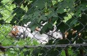 Nutzerbilder Zoologischer Garten gGmbH