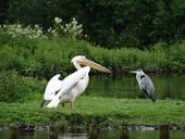 Nutzerbilder Zoologischer Garten gGmbH