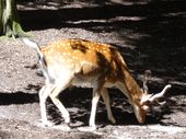 Nutzerbilder Zoologischer Garten Schwerin gGmbH