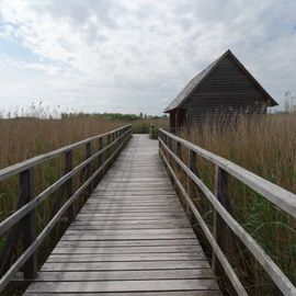 Federsee, Federseesteg in Bad Buchau