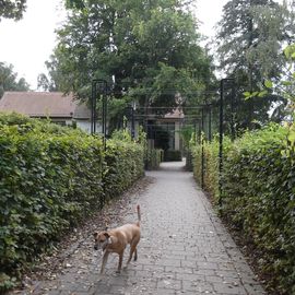 Promenade am See bei Villa Rheinsberg