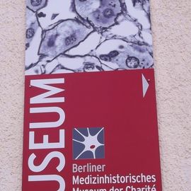 Berliner Medizinhistorisches Museum der Charité in Berlin