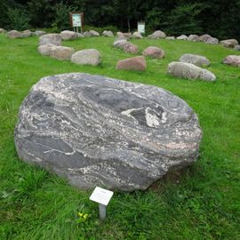 Migmatit, Schweden o. Finnld, ca. 2,0 Mrd. Jahre , Fundort Consrade