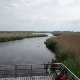 Federsee, Federseesteg in Bad Buchau