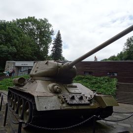 T 34/85