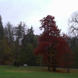 Herbstimpression im Bergpark