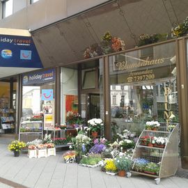 Blumenhaus Fernandez in Kassel