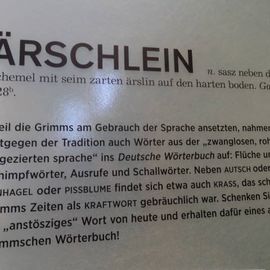 Grimmwelt in Kassel