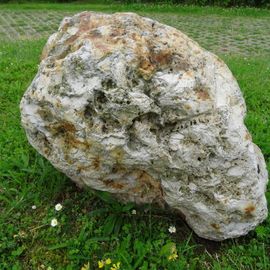 Skolithos - Sandstein, Süd - Schweden, Unter - Kambrium, 550 Mio Jahre