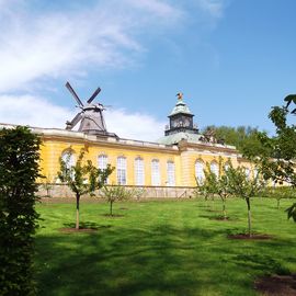 Historische Mühle von Sanssouci in Potsdam