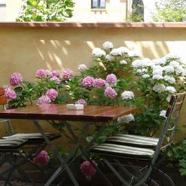 der Biergarten - ein Wohlfühloase unter schattigen Bäumen