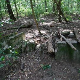 Überreste des ehemaligen Ortes Osdorf - gefunden beim Durchstreifen des Waldes