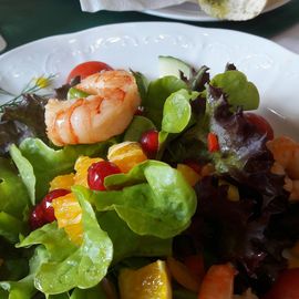 Ferienpark Retgendorf mit Restaurant Waldsiedlung in Retgendorf Gemeinde Dobin am See