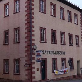 Naturmuseum in Tann in der Rhön