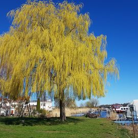 Historische Altstadt Inselstadt Werder in Werder an der Havel