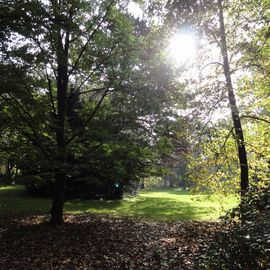 Ringpark, Glacis in Würzburg