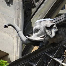 Ulmer Umzüge in Ulm an der Donau