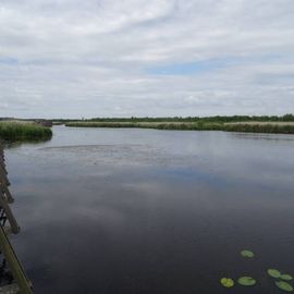 Federsee, Federseesteg in Bad Buchau