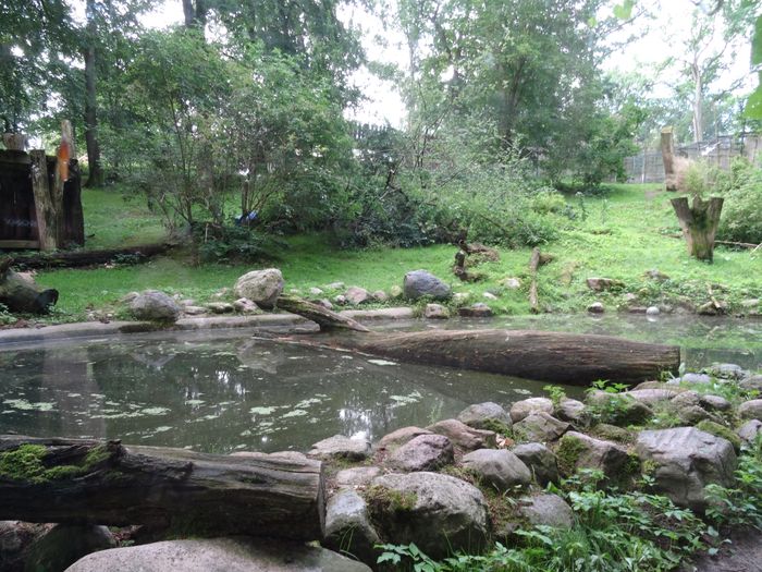 Nutzerbilder Zoologischer Garten Schwerin gGmbH