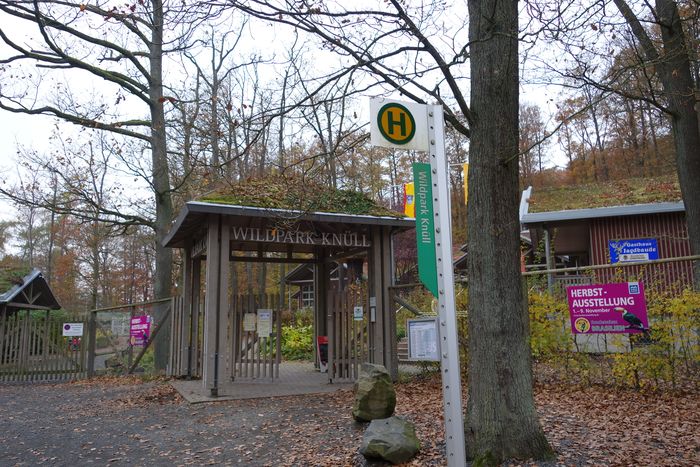 Nutzerbilder Wildpark und Naturzentrum Knüll