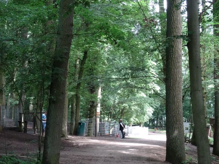 Nutzerbilder Zoologischer Garten Schwerin gGmbH