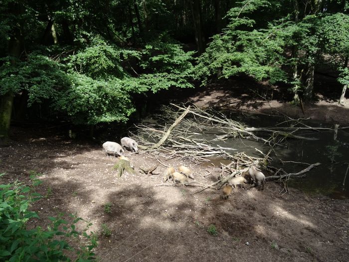 Nutzerbilder Zoologischer Garten gGmbH