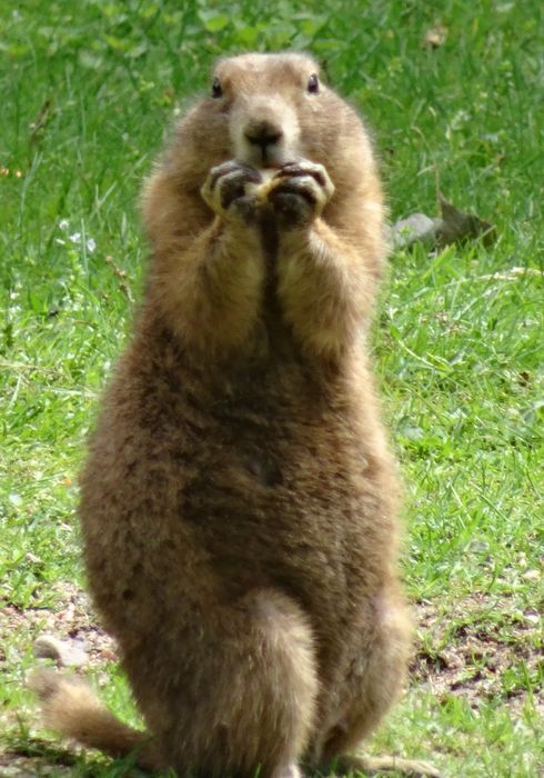 Nutzerbilder Zoologischer Garten Schwerin gGmbH