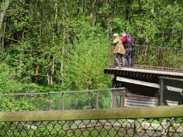 Nutzerbilder Tierpark Sababurg