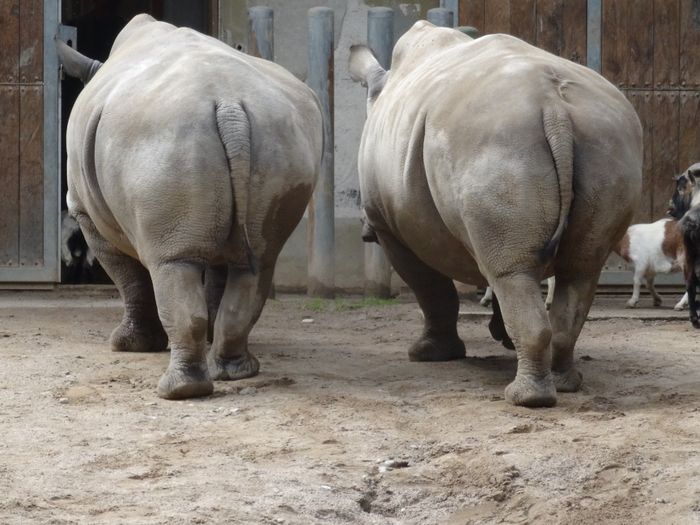 Nutzerbilder Zoologischer Garten Schwerin gGmbH