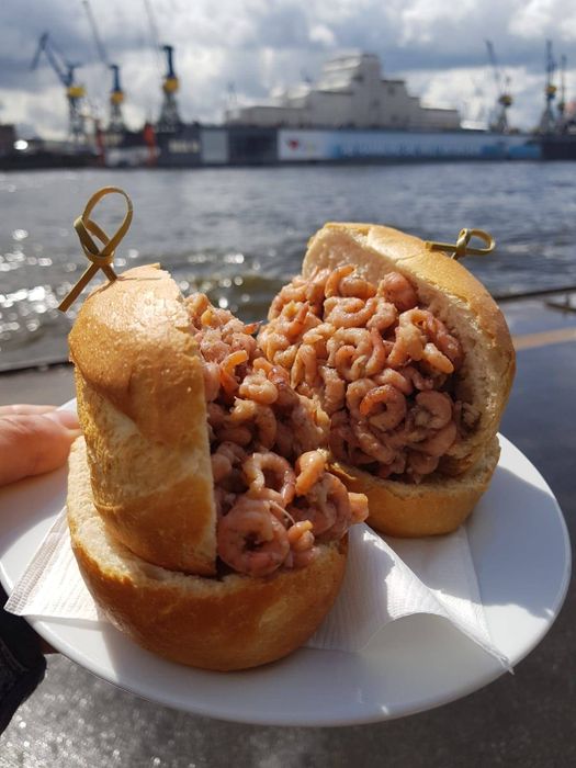 Hamburger Hafen und St. Pauli-Landungsbrücken