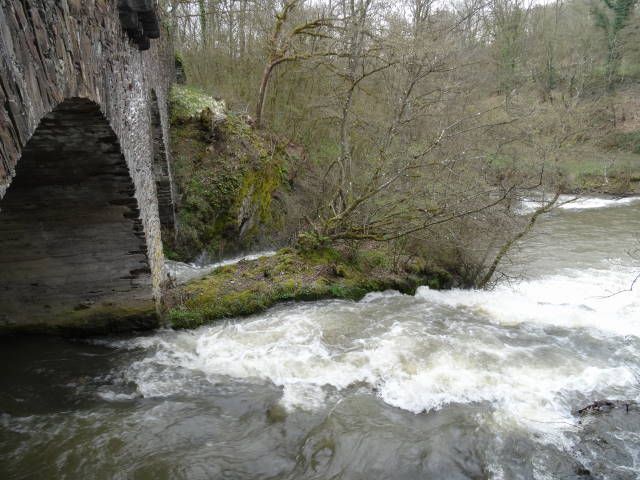 Von Pyrmont nach Eltz