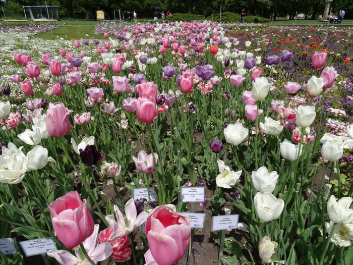 Nutzerbilder Erfurter Garten- und Ausstellungs gGmbH (ega) egapark