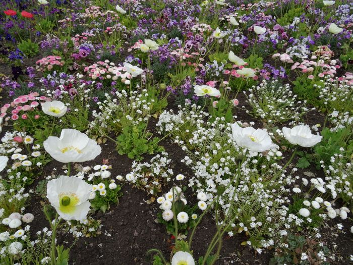 Nutzerbilder Erfurter Garten- und Ausstellungs gGmbH (ega) egapark